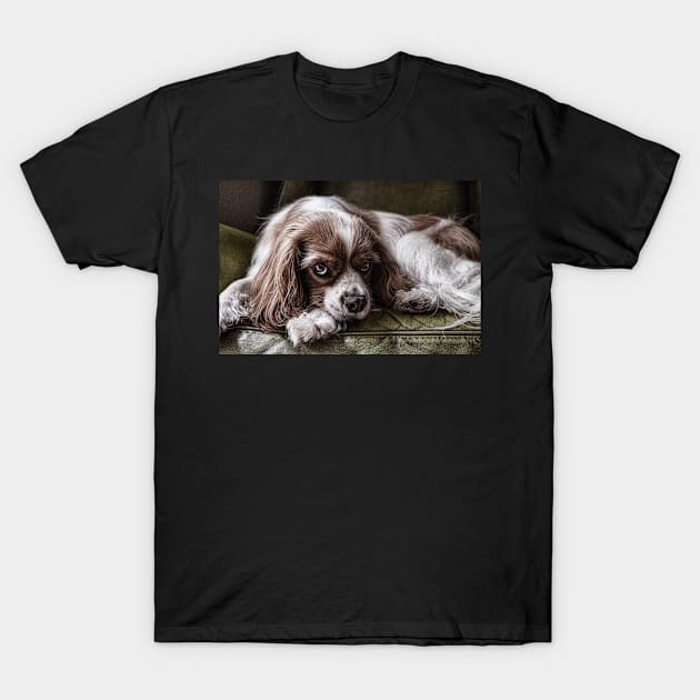 King Charles Spaniel T-Shirt by kawaii_shop